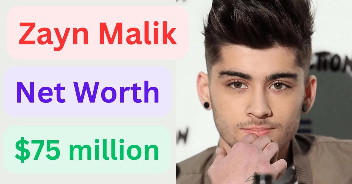 Zayn Malik net worth