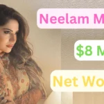 Neelam Muneer Net Worth